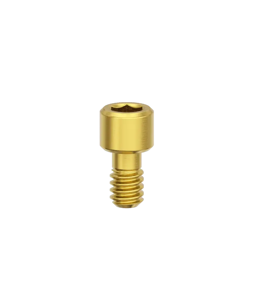 Prosthetic screw, stand-alone, flat, N.