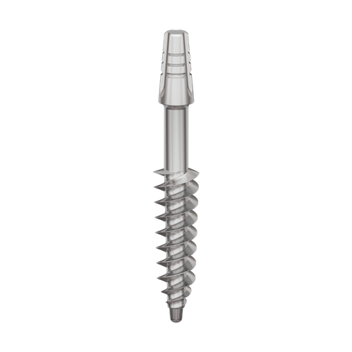 [B4522] Dental Implant, ROOTT B, D 4.5 mm, L 22 mm.