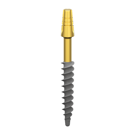 [B3524ss] Dental Implant, ROOTT BS, D 3.5 mm, L 24 mm.